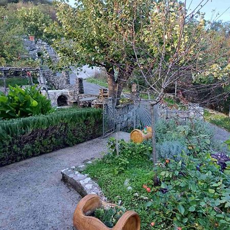 Country House "Lipa" Komarno Virpazar Ngoại thất bức ảnh