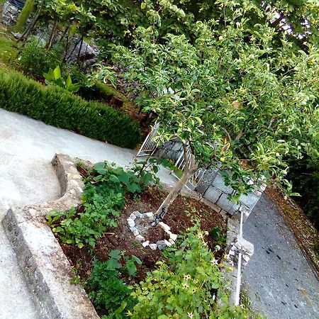 Country House "Lipa" Komarno Virpazar Ngoại thất bức ảnh
