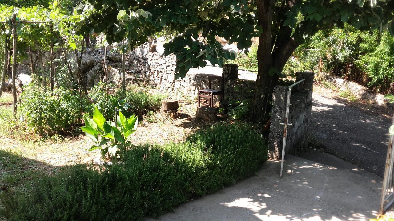 Country House "Lipa" Komarno Virpazar Ngoại thất bức ảnh
