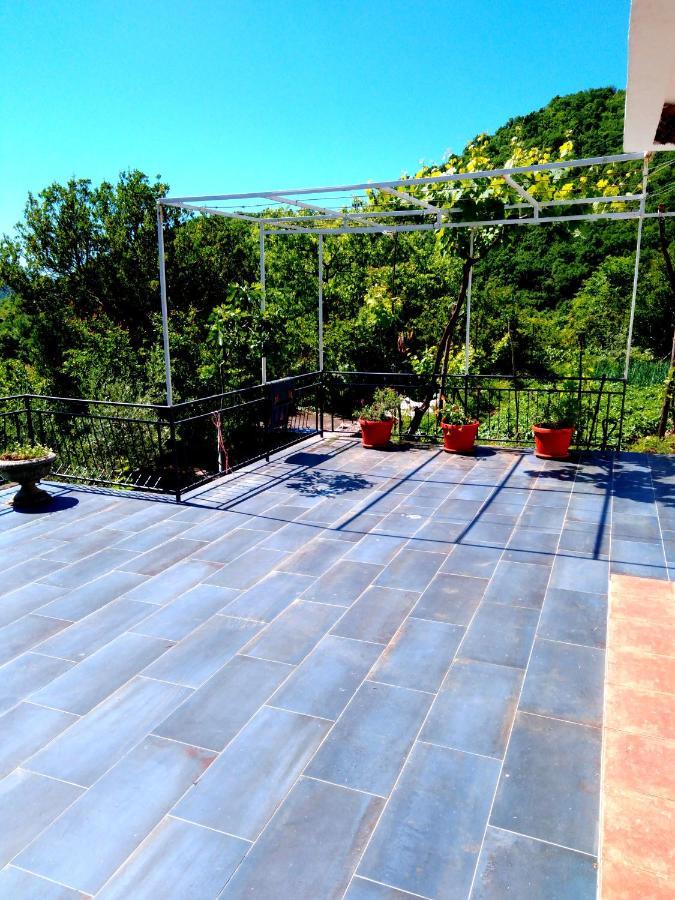 Country House "Lipa" Komarno Virpazar Ngoại thất bức ảnh